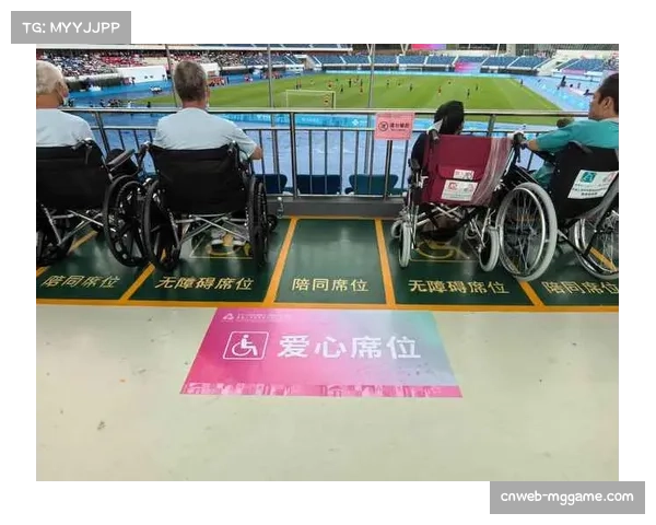 德甲增设轮椅观赛区 提升残疾人观赛体验 德甲增设轮椅观赛区 提升残疾人观赛体验
